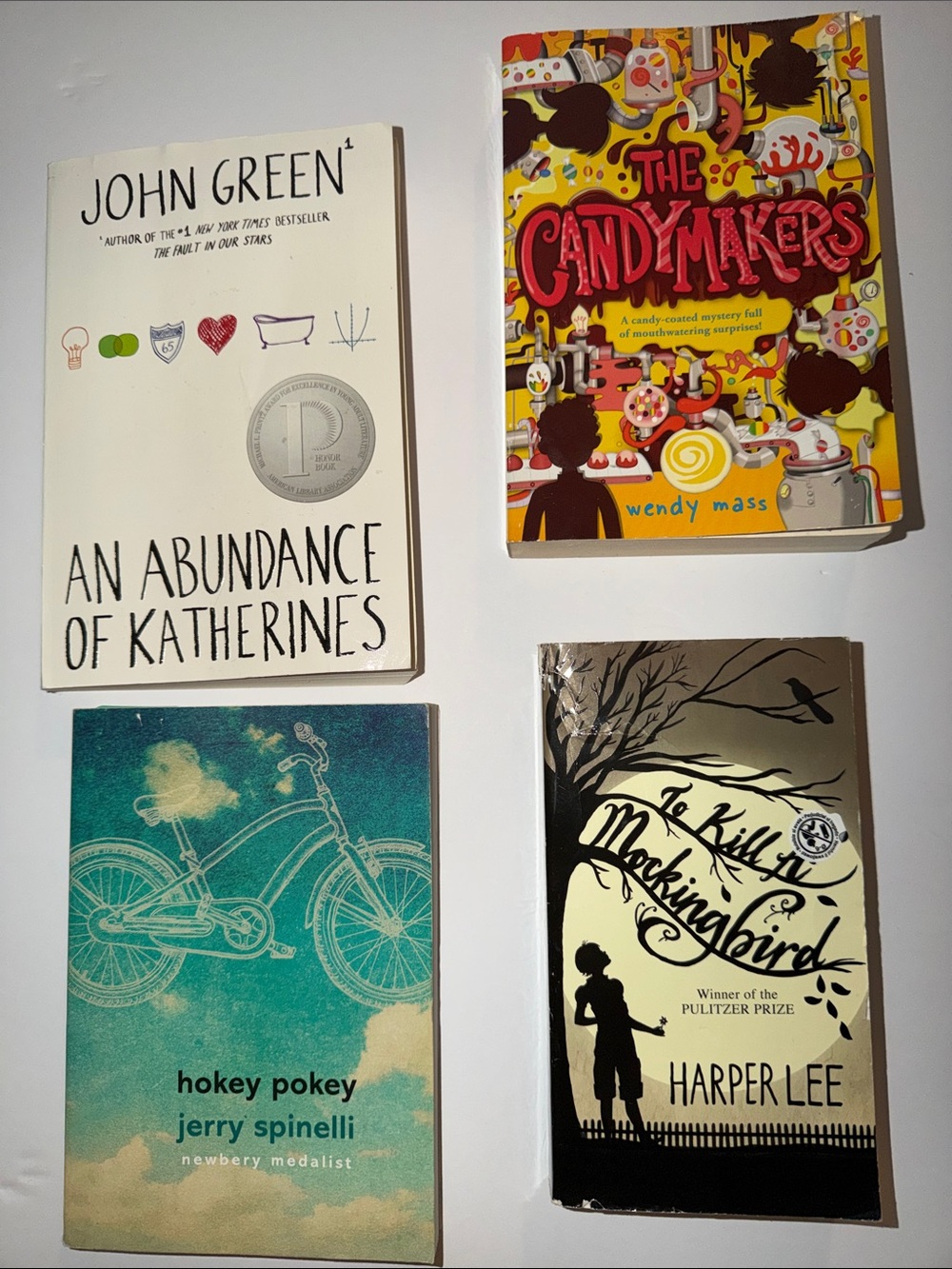 Young adult book set